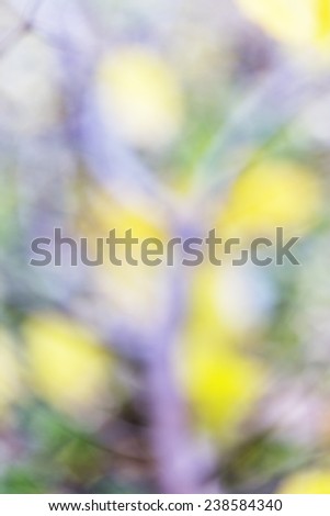 Defocused view of autumn with bright and soft gold, orange and green flowers and beautiful bokeh blurred, as the basis for an unusual artistic abstract background romantic design
