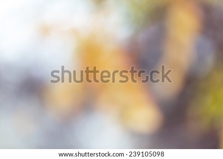 De-focused view of autumn with bright and soft gold, orange and green flowers and beautiful bokeh blurred, as the basis for an unusual artistic abstract background romantic design
