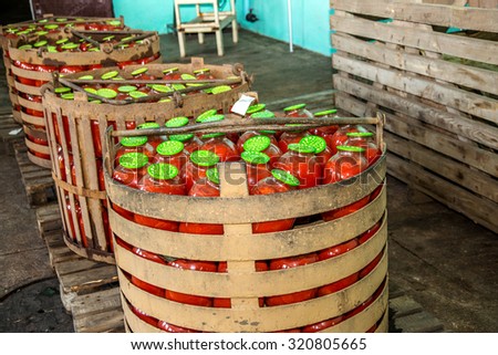 ODESSA, UKRAINE - 25 September 2015: The working process of production of tomatoes to canned fruit and vegetable factory. Workers on the production of canned food. Processing vegetables.