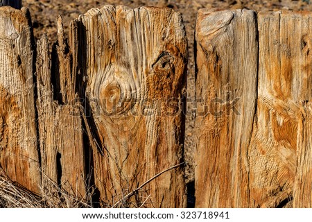 Background of the old wooden planks in the cracks on the banks of a dried-up salty estuary. Old tree with beautiful texture as a background for creative natural design