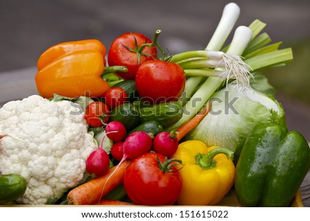 Vegetables in wooden container outside in the garden