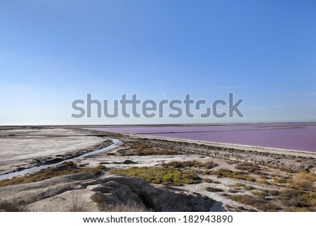 Salt production in the Camargue. Landscape image of pink salt lakes