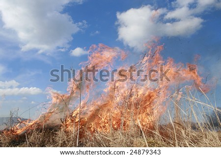 meadow fire and burning a grass wastelands, natural disaster