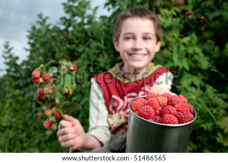 Boy showing freshly picked raspberries and red currants with raspberry plants in the background.