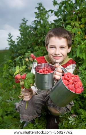 Boy showing freshly picked raspberries and red currants with raspberry plants in the background.