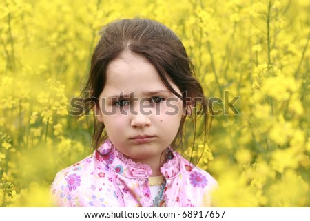 yellow flowers background. yellow flowers background