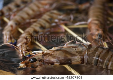 Big, tiger shrimps (prawns) have just been prepared for cooking. They\'re going to be grilled.