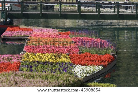 A water garden with flowers.  This garden is very colorful and different.  There\'s a bridge in the background.  The garden is part of a harbor.