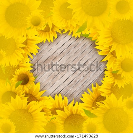 sunflower frame (border)