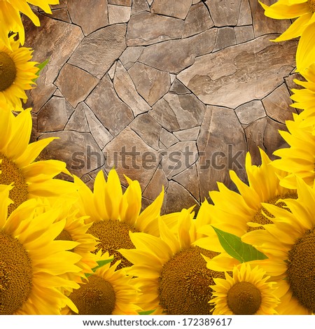 sunflower frame (border) on stone