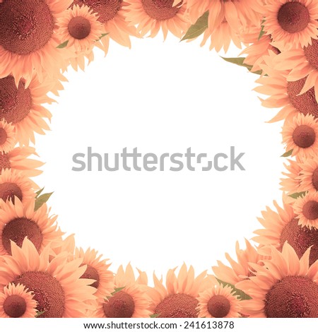 sunflower frame (border) isolated on white