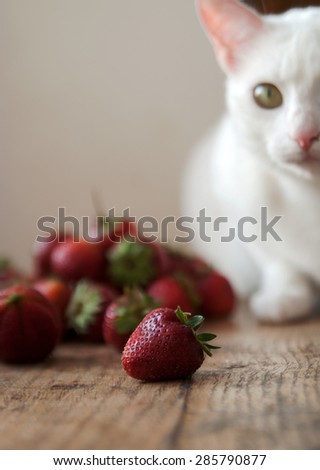 ripe strawberry and white cat on a wooden board