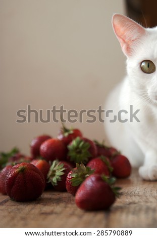 ripe strawberry and white cat on a wooden board