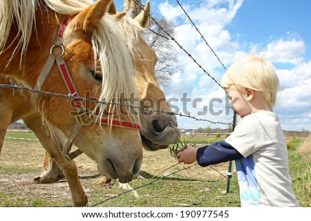 a very young child is standing by a farm fence in the country, feeding grass to two horses.