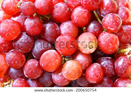 A background of fresh, healthy, purple grapes, of the variety Red Globe Seedless.