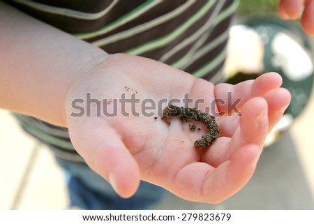 The Hand of a Young Child Holding Dirty Earth Worm before going fishing