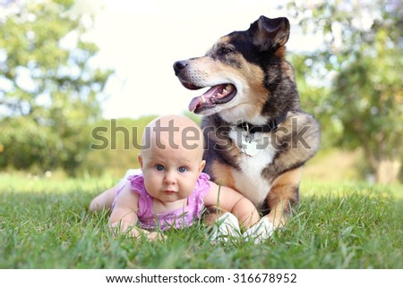 A cute 6 month old baby girl is laying outside in the grass holding hands with her German Shepherd Dog.