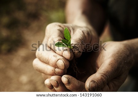 farmer hands holding a planted.