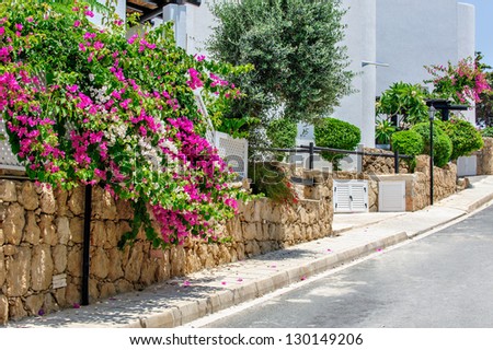 Flower street with white residential houses