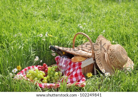 Outdoor picnic setting with wine