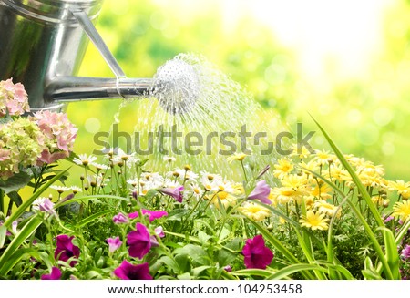 Gardening work- Watering flowers in a garden.