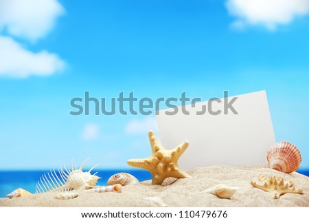 Seashells with blank card on sand beach