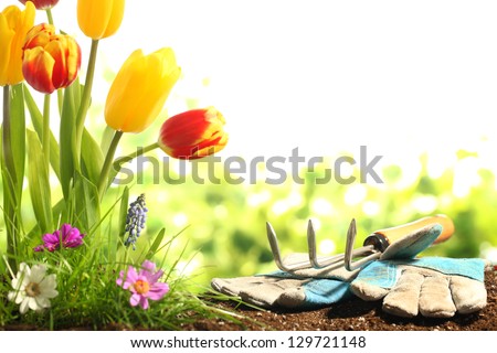 Garden tools,green grass and flowers