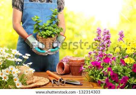 Gardener Holding A Pot With Plant In Garden