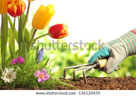 Planting Flowers in a garden Planting Flowers in a garden