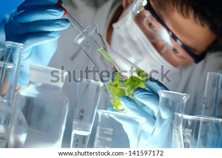 Scientist examining samples with plants Closeup Scientist examining samples with plants Closeup