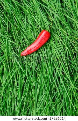 red pepper on green grass