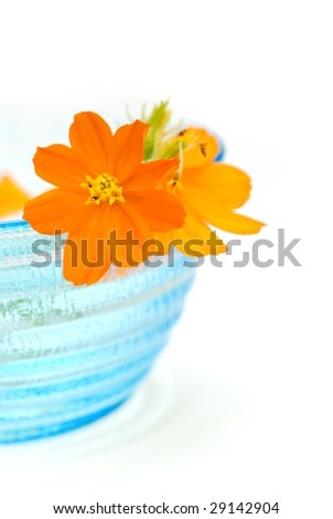 Blue Crystal Bowl with Yellow Flowers on White