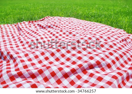 Picnic Cloth on Meadow