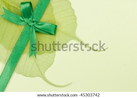 Green Leaf skeleton with gift ribbon on handmade paper
