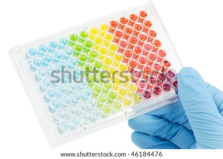 biomedical research: hand with glove holding Enzyme-linked Immunospot Assay plate