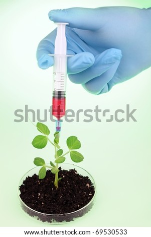 Biologist experiments with pea plant
