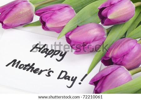 Mother\'s Day Concept-- Purple tulips with card on white background