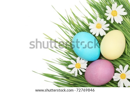 Daisy Eggs