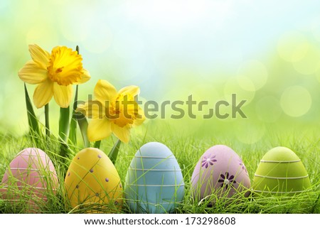 Easter eggs hiding in the grass with daffodil flower