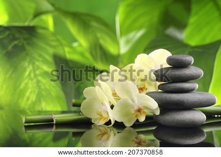 Spa still life with zen stones bamboo and orchid flower Spa still life with zen stones bamboo and orchid flower