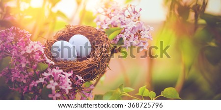 Bird nest in a flowering tree with easter eggs for Easter