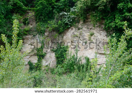 Rock face surrounded by wild green plants