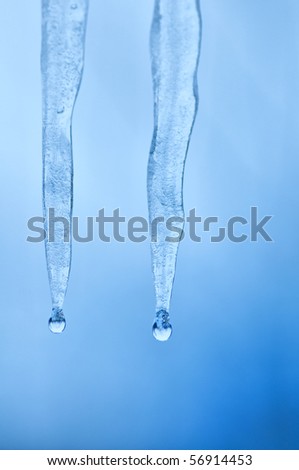 Thawing two icicles of a blue shade with water droplets