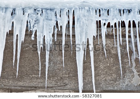 The big white icicles during cold winter