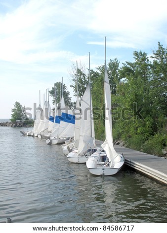 Row of sail boats lined up in a marina