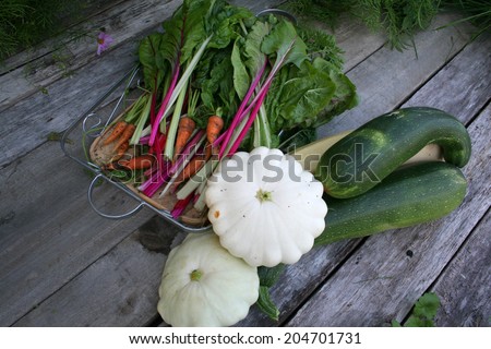 White patty pan squash,yellow and green zucchini, carrots and swiss chard on wood table