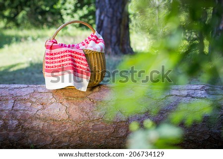 Basket for a picnic in nature seen through the leaves of the tree