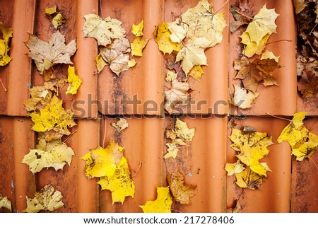 Fall leaves on orange roof tiles