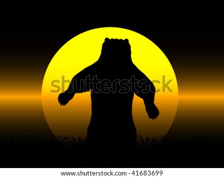Nighttime Bear