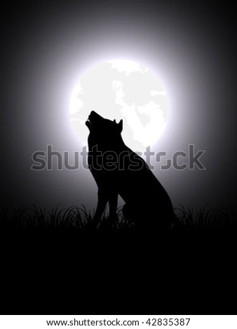 wolf at night